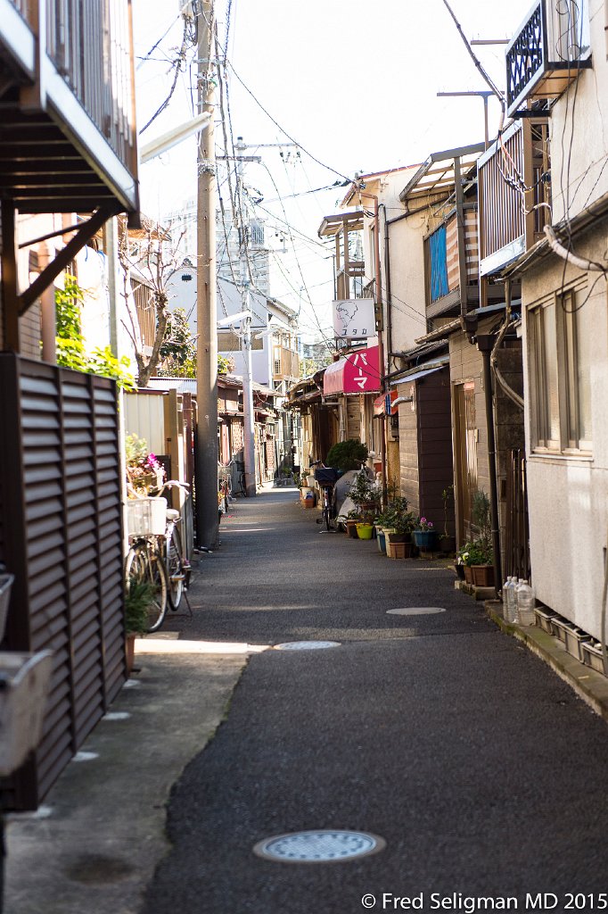 20150311_102008 D4S.jpg - Strolling in Tanaka